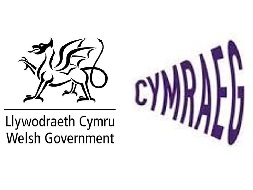 One Million Welsh Speakers by 2050 Project
